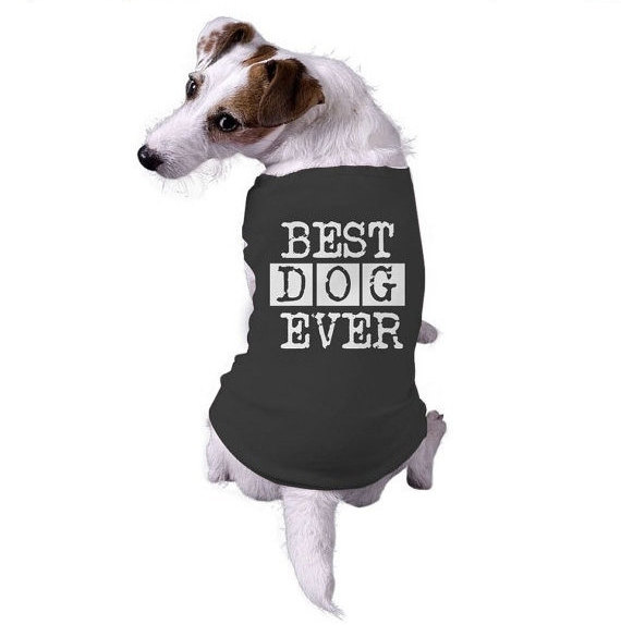funny dog apparel